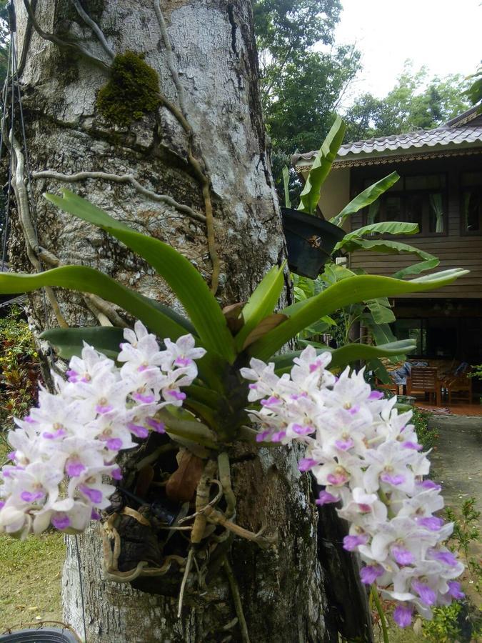 Koh Kood Little Hut Hotel Ko Kut Exterior photo