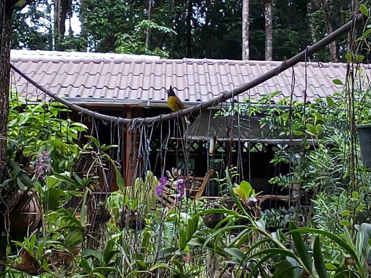 Koh Kood Little Hut Hotel Ko Kut Exterior photo