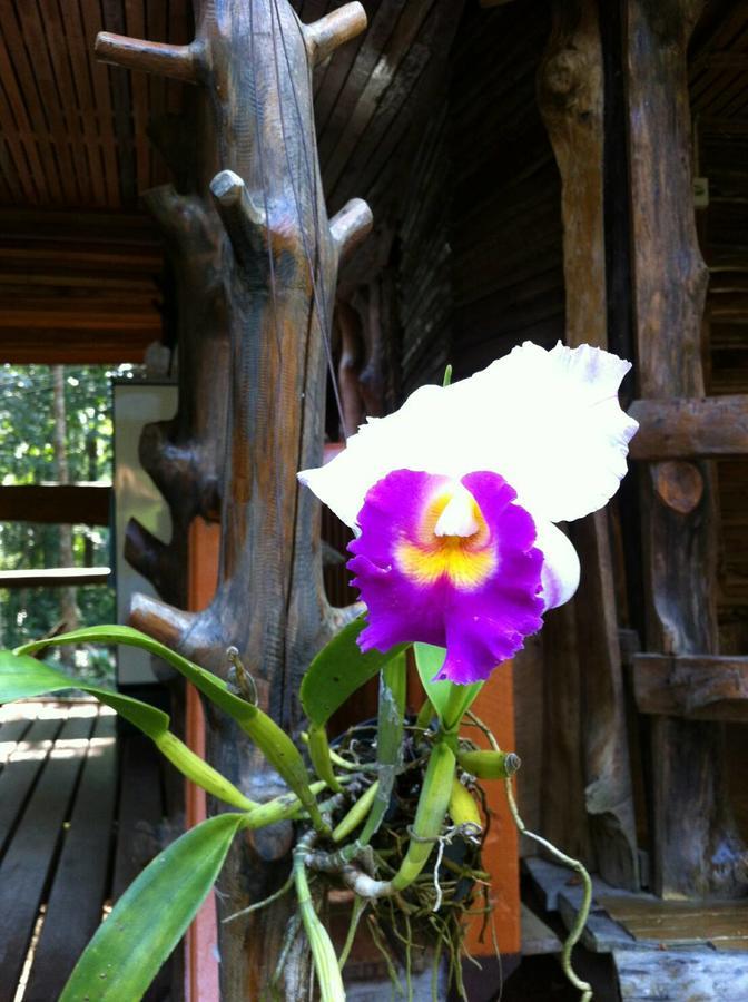 Koh Kood Little Hut Hotel Ko Kut Exterior photo