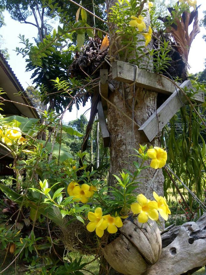 Koh Kood Little Hut Hotel Ko Kut Exterior photo