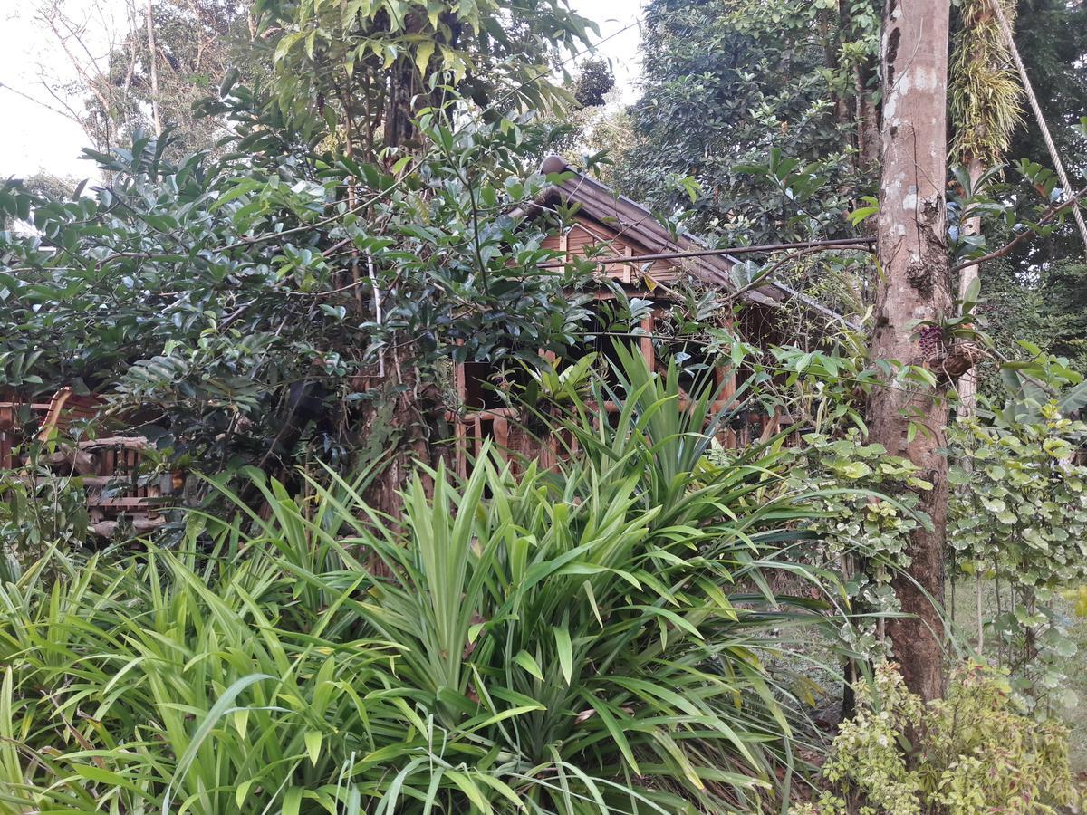 Koh Kood Little Hut Hotel Ko Kut Exterior photo